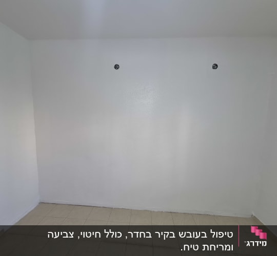 קיר פנימי צבוע לבן ורצפת אריחים בחדר נקי